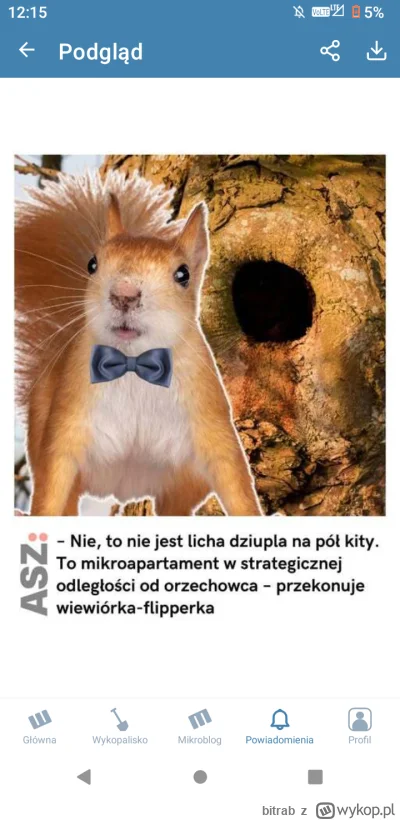 bitrab - #nieruchomosci to fajne. Mirek ma głowę do propagandy