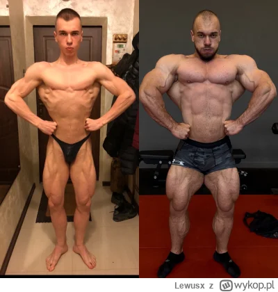 Lewusx - 5 lat używania sterydów. Transformacja rok po roku.

#mikrokoksy
#silownia
#...