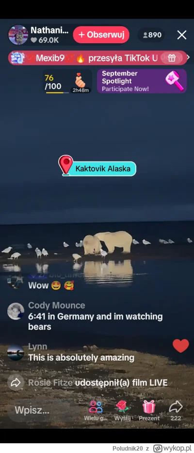 Poludnik20 - Niedźwiedzie na Alasce. Miasteczko, czy właściwie osada Kaktovik. Tam je...