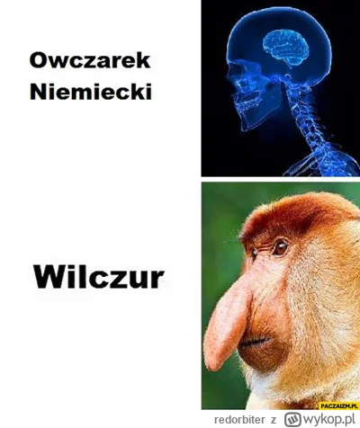 redorbiter - @Endr3w: