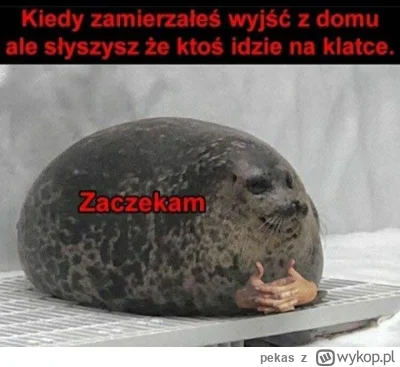 pekas - #pasjonaciubogiegozartu #introwertycy 

Na spokojnie