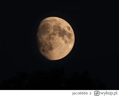 jaco666b - @zgreedeek masz tu strzał z mojego telefonu