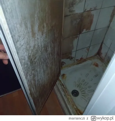 marianczi - Za ile byś się wykompal pod tym prysznicem?