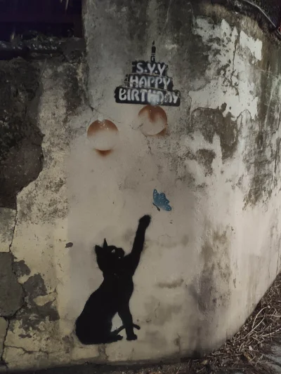 FreakingAwesome - #kotek