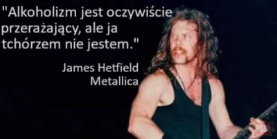 PonuryBatyskaf - #alkoholizm #metallica #metal #muzycznememy #heheszki