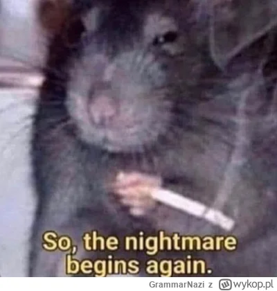 GrammarNazi - Żyć nie umiem, a umrzeć się boję

#zalesie #smutnazaba #stres #depresja