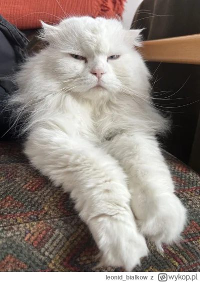 leonid_bialkow - @Graner: hejsia czasomierz