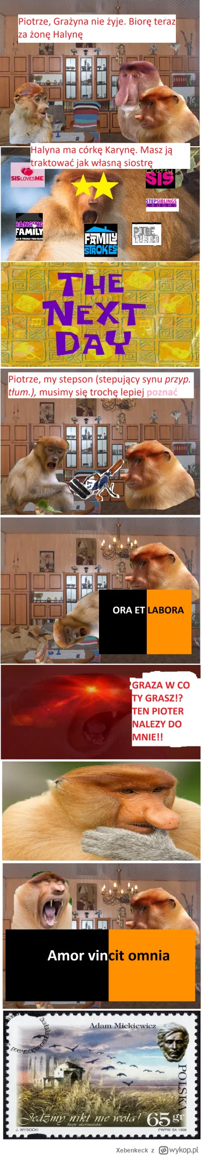 Xebenkeck - Współkochać przyszłam, nie współnienawidzić 

#konkursnanajbardziejgownia...