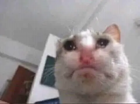 PetalMind - Dzien dobry przegrywam te walkę dzisiaj 

#depresja