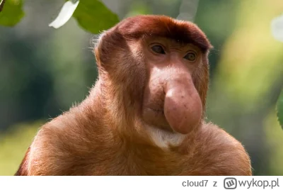 cloud7 - @Mr3nKi: nie no, taka tam tylko powódź po r--------u tamy na Dnieprze XD. To...