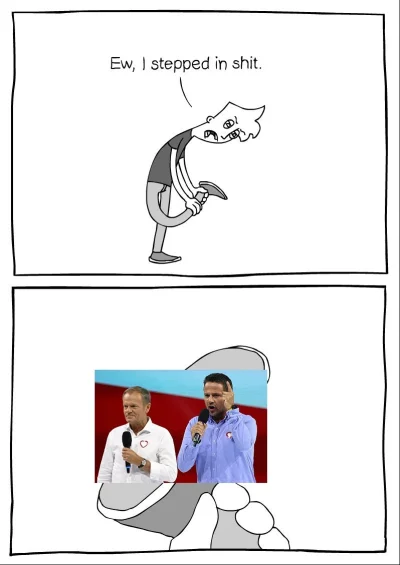 Foxbat - #polityka #czaskoski