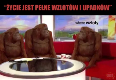 vieveble - #heheszki