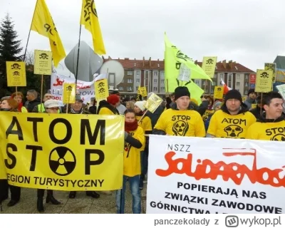 panczekolady - Partyjne przybudówki oprotestowywały atom żeby bronić WUNGLA