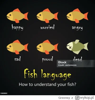 Greensy - @bigbrain: