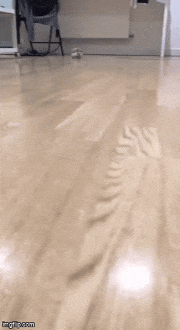 wfyokyga - Tuptańsko