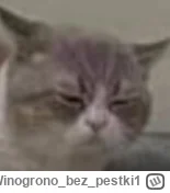 Winogronobezpestki1 - @wfyokyga: