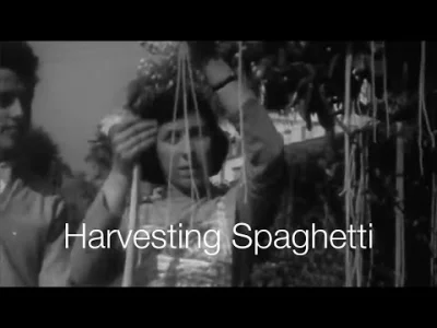 nilmerg - @WielkiNos: mmm, spaghetti, a myślałem, że rośnie na drzewach, czuje się os...