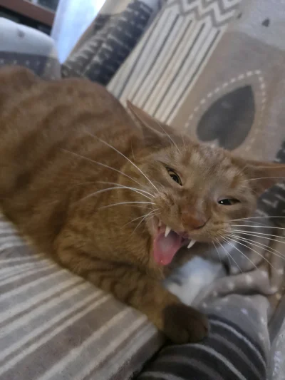 0227 - #pokazkota
To jest John