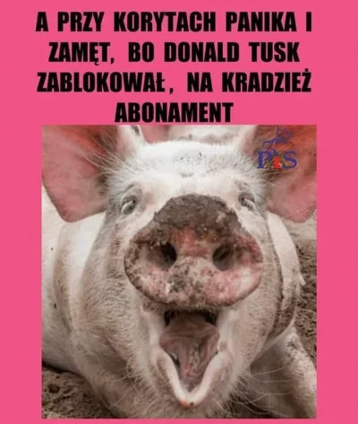 NiebedzieNietzschego - #grazynacore