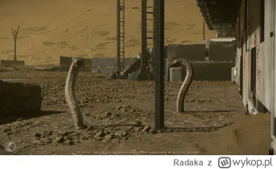 Radaka - W wczorajszym patchu dodali robaczki ;] które można spotkać na daymar oraz a...