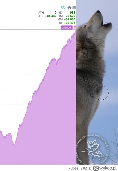 kubas_782 - #nieruchomosci #heheszki