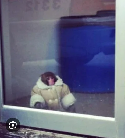 fancywire - Sławosz Uznański w skafandrze właśnie dowiaduje się że odlecieli bez nieg...