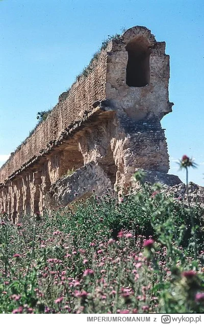 IMPERIUMROMANUM - Rzymski akwedukt w Zaghwanie

Rzymski akwedukt w Zaghwanie (Tunezja...