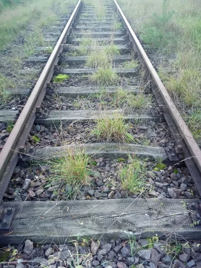 janielubie - @nightmeen: Jeszcze niszową ciekawostką jest nieczynna linia kolejowa Bi...