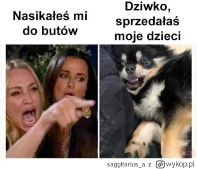 saggitarius_a - ( ͡° ͜ʖ ͡°)

#humorobrazkowy #heheszki #zwierzaczki #smiesznypiesek