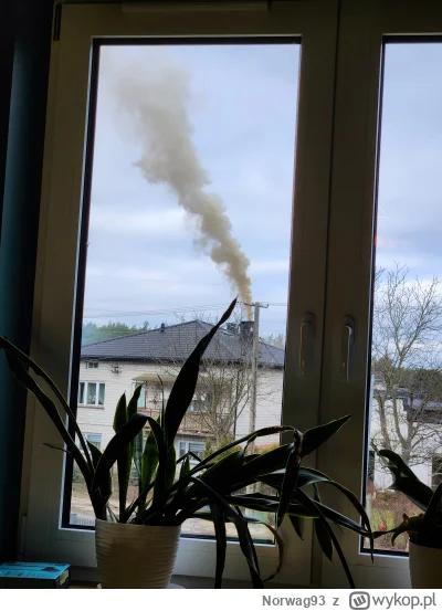 Norwag93 - #smog

Realna skala problemu jest dużo gorsza niż to co na airly widać. U ...