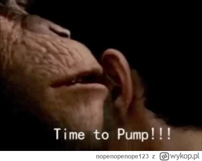 nopenopenope123 - #kryptowaluty