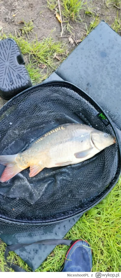 NiceshootPL - @NiceshootPL: