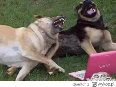 Quentof - @arkadi2020: Herbatą się mało nie oplułem ze śmiechu