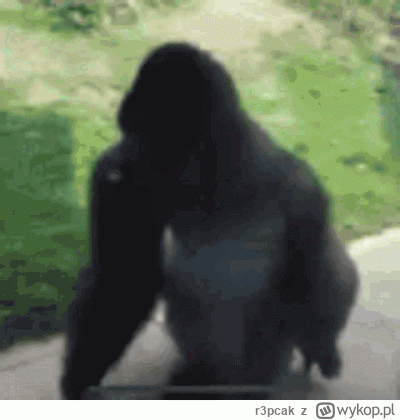 r3pcak - @Kalwi: pacz synek jak się driftuje