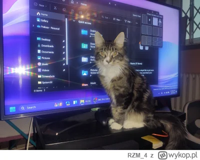 RZM_4 - Kotek komputerowiec

#pokazkota #koty #koteczkizprzypadku