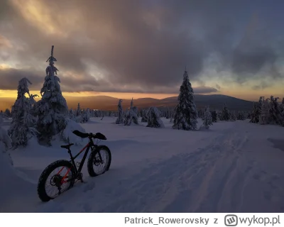 Patrick_Rowerovsky - W Izerach warun na rower spoko! 

#rower #rowerovsky