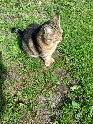 GARN - #przypadkowekitku