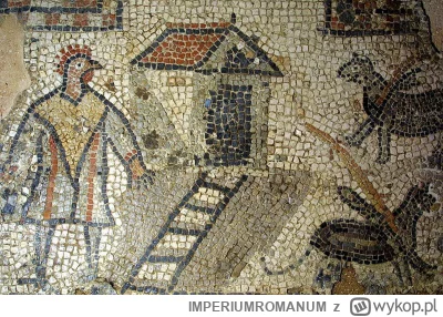 IMPERIUMROMANUM - Mężczyzna z głową koguta na mozaice

Rzymska mozaika ukazująca taje...
