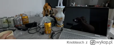 Knoblauch - @tygrys12345: na śniadanie bronxy