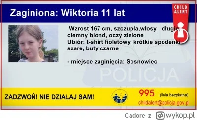 Cadore - https://www.polsatnews.pl/wiadomosc/2023-08-06/sosnowiec-zaginela-12-letnia-...