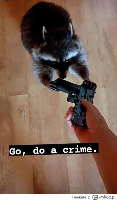 Heekate - #smiesznypiesek #humorobrazkowy