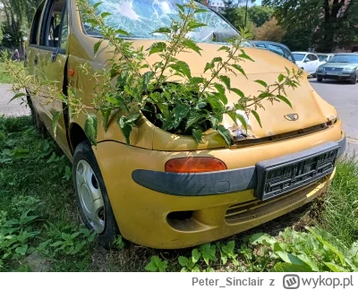 PeterSinclair - @PeterSinclair: