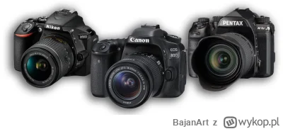 BajanArt - Mirki i mirabelki, polećcie jakiś dobry aparat, który zrobi lepsze zdjęcia...