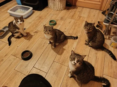 corsa900 - "No co tak stoisz, nie rób zdjęć, tylko nakładaj to lepsze, bo suche nam s...