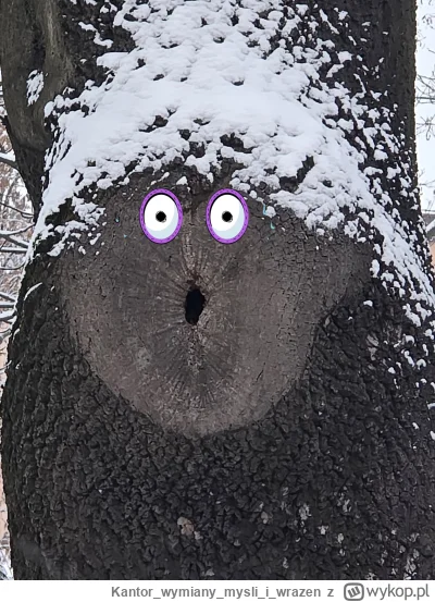 Kantorwymianymysliiwrazen - @WildAnimal: 😮