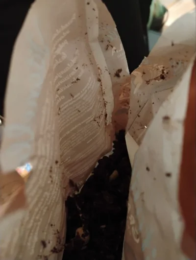 xar32 - #biedronka #c-------y #pytaniedoeksperta
Dawno nie jadłem granoli to sobie ku...