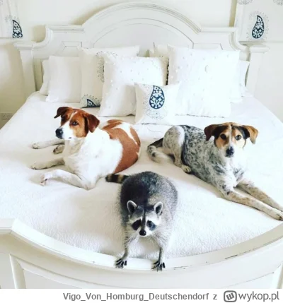 VigoVonHomburg_Deutschendorf - Trójca święta
#szopeknadzis