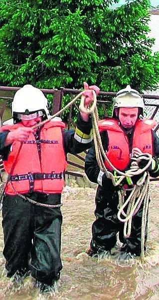 houk - @jerzy_s:  Mówisz? 
https://x.com/BotAiSys/status/1835227708546007392

i link ...