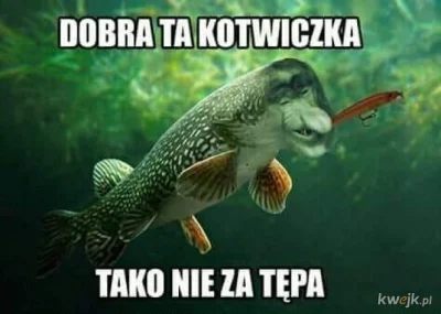 konrado12 - @CzechoslowackiZwiazekSzachowWodnych: ojciec