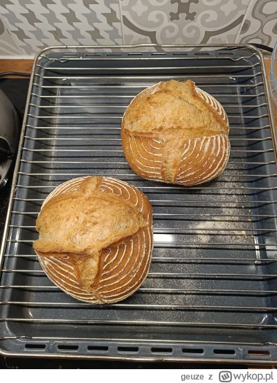 geuze - Ostatnio nie mam czasu, więc robię tylko no-knead z King's Arthura xD Pełnozi...